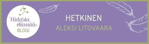 mindfulness, mindfulness-kurssi, mindfulness-verkkokurssi